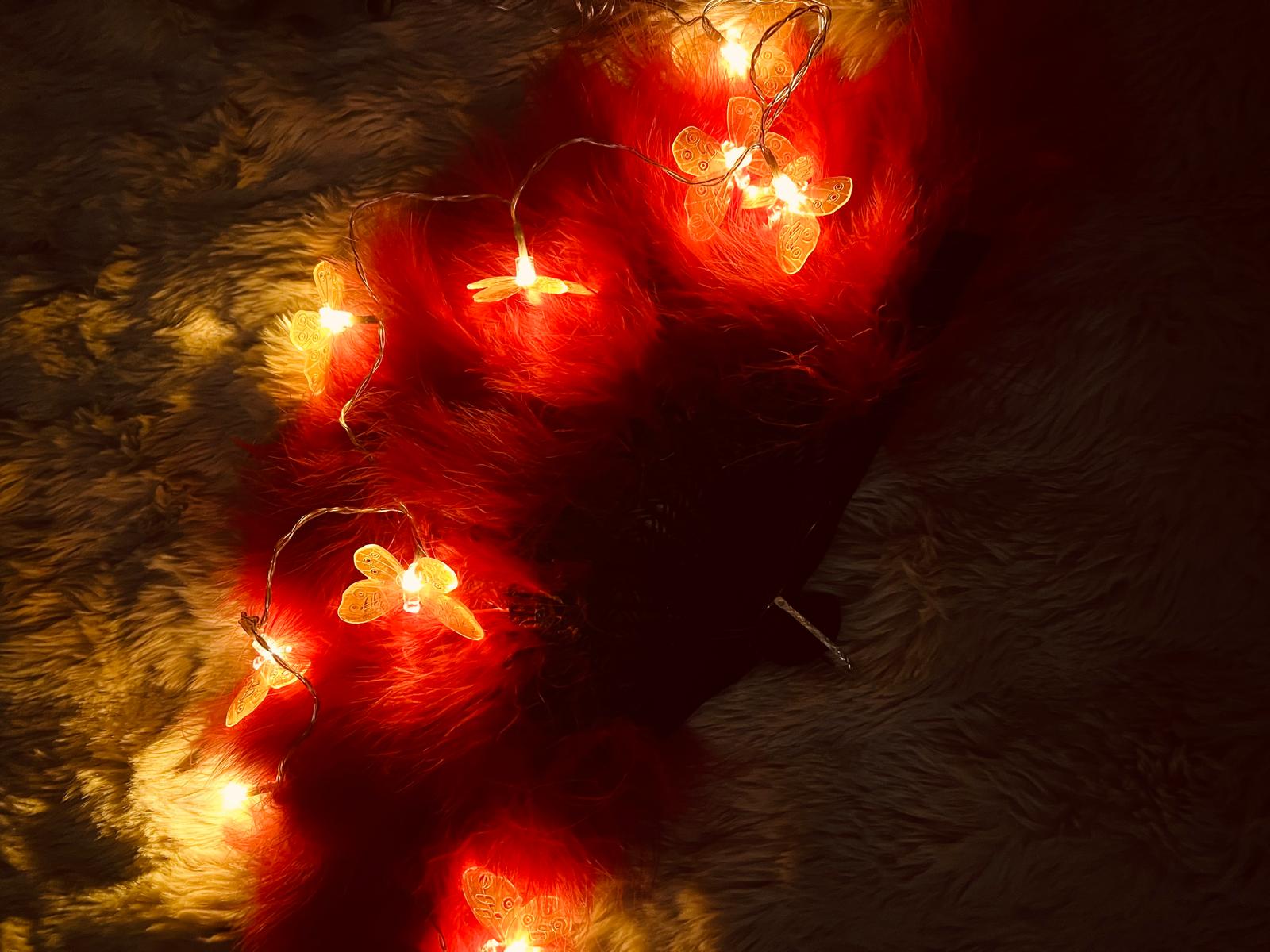 Butterfly fairy lights on fur